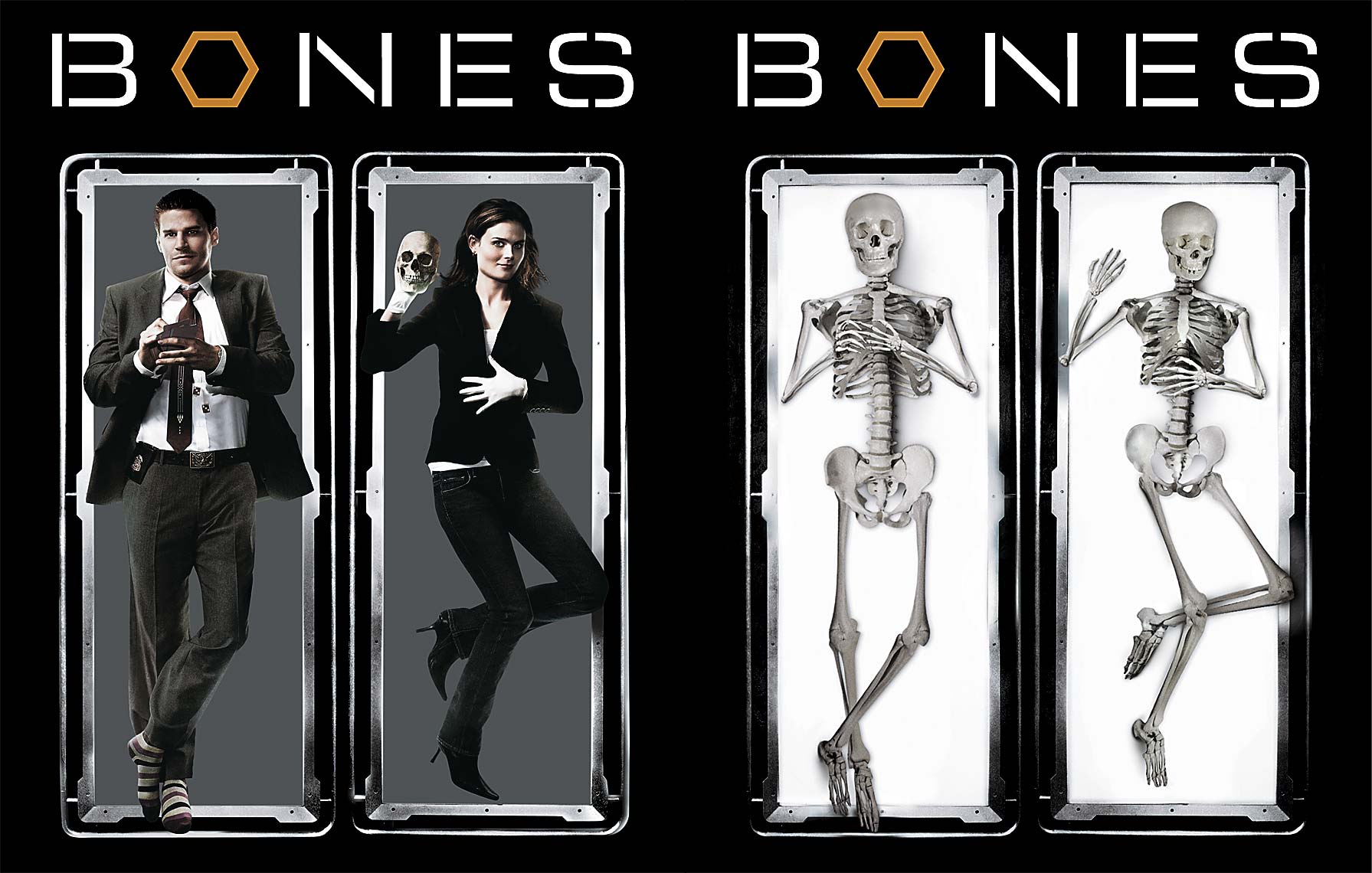 61-Bones_DVD
